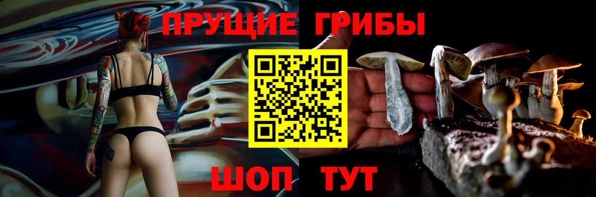 Псилоцибиновые грибы Psilocybe  Вход с VPN  Димитровград 